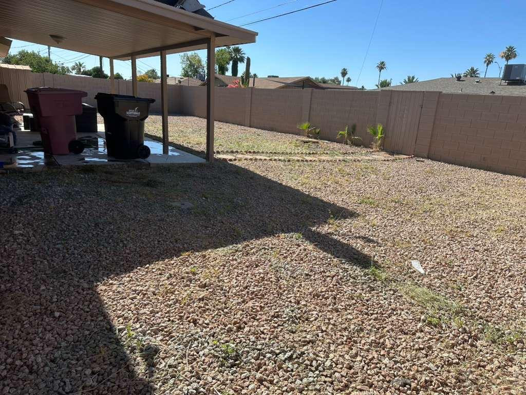 Backyard after — clean gravel with new plants