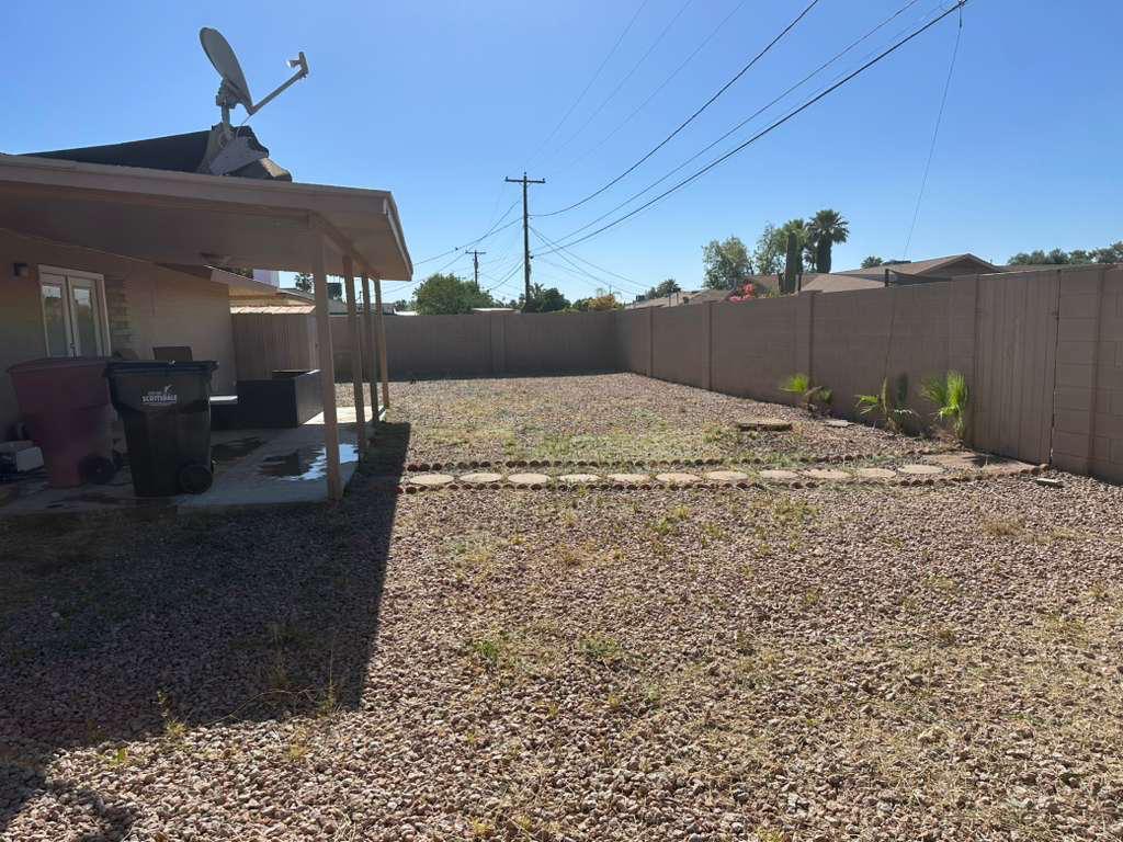 Clean backyard after landscaping service